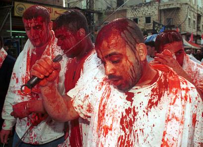 Yet more bloody stupid bloody Muslims Yet more bloody stupid bloody Muslims